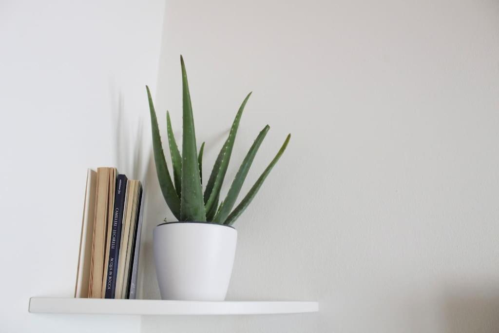 Charming & Modern In The Appartement Bergame